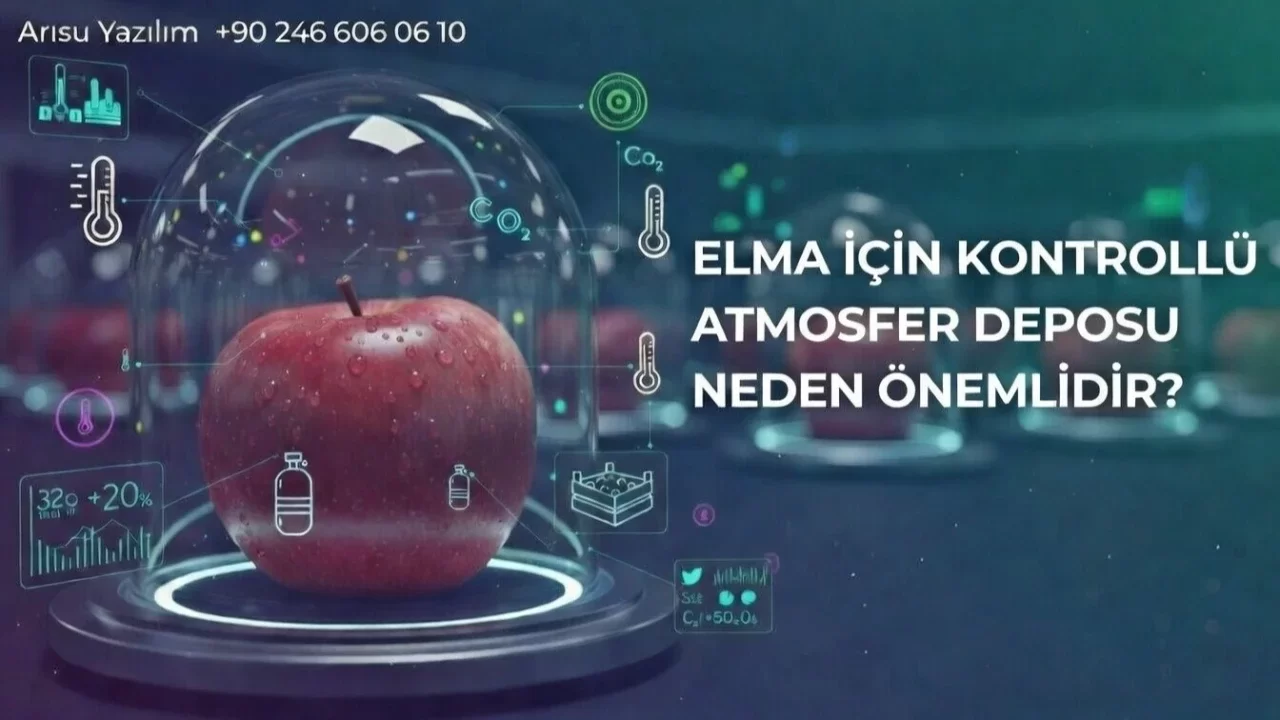 Elma İçin Kontrollü Atmosfer Deposu Neden Önemlidir?