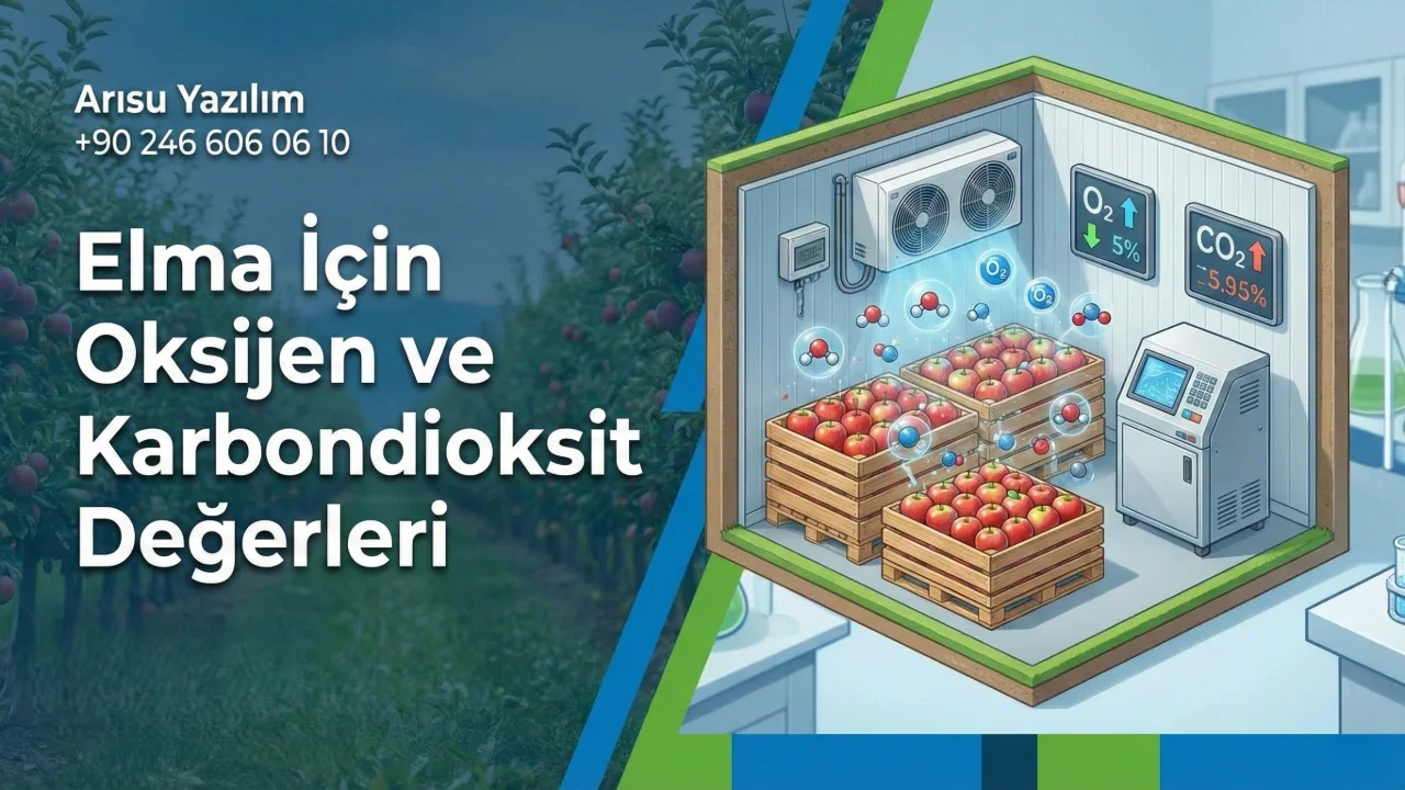 Elma İçin Oksijen ve Karbondioksit Değerleri